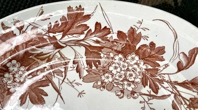 Brown Transferware Botanical Foliage Antique Platter George Jones Aesthetic Movement