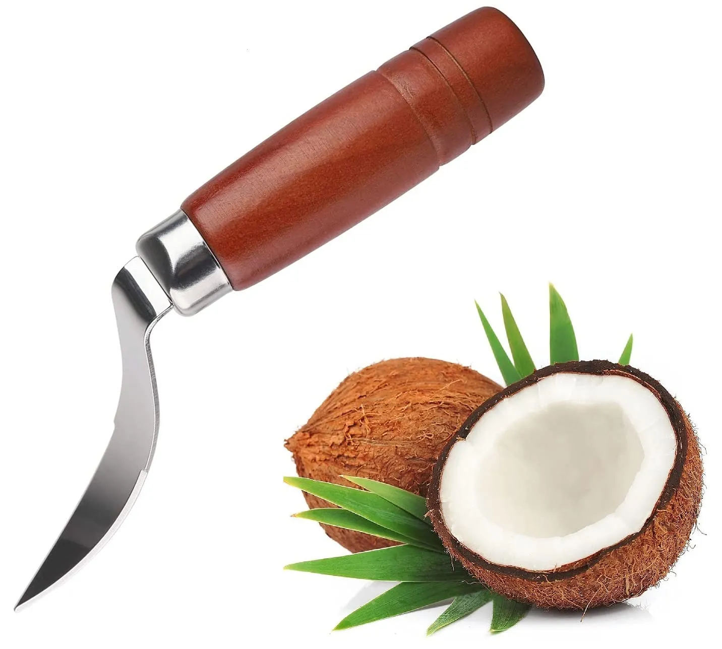 EzLife Coconut Tool Coconut Shell Remover Durable Wooden Handle Stainless Steel Coconut Opener Scraper Knife Kitchen Accessories (Stainless Steel - Pack of 1)