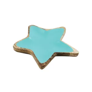 Sea Star Plate with Enamel