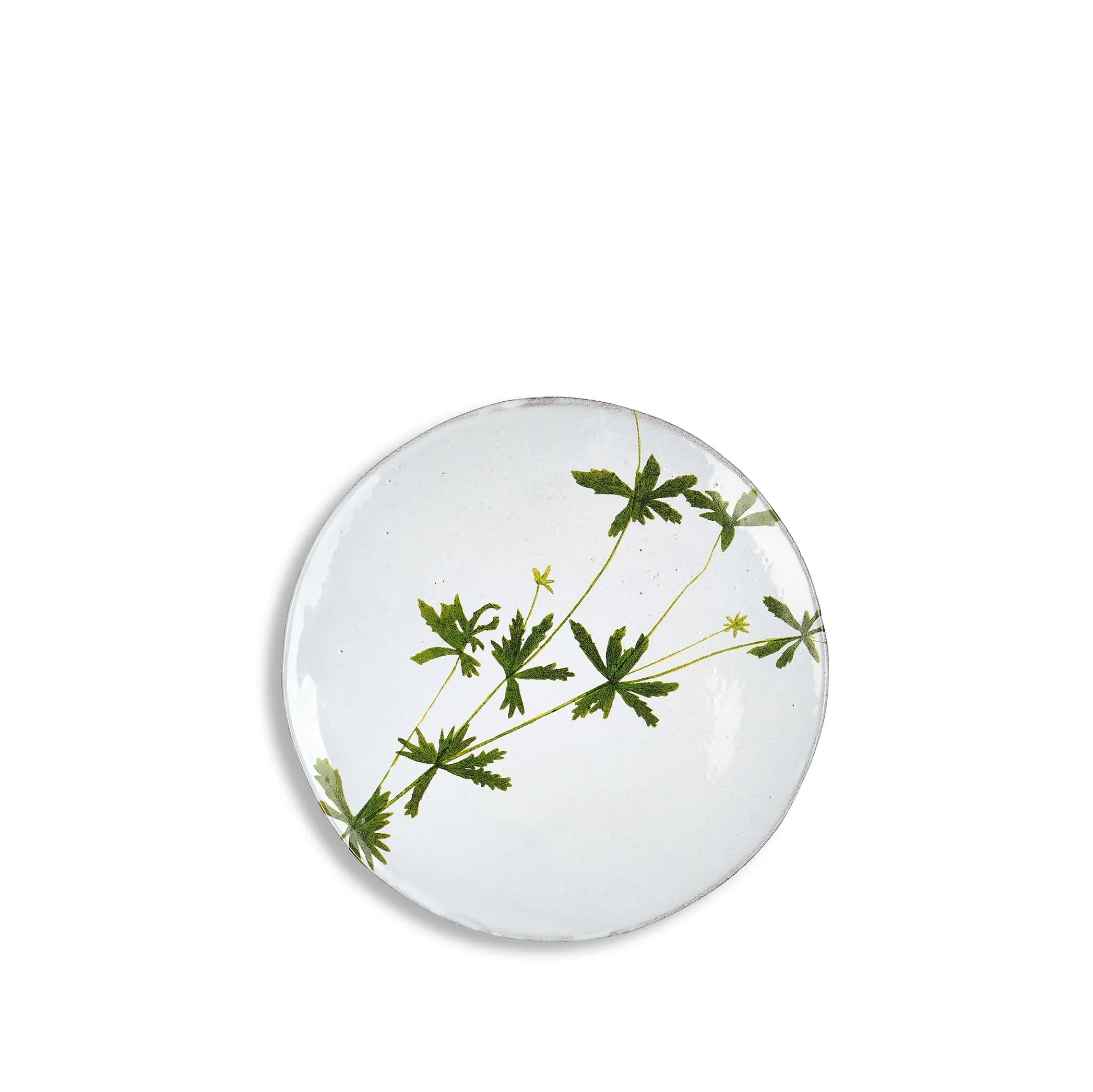 Tormentilla Leaf Plate by Astier de Villatte, 24cm